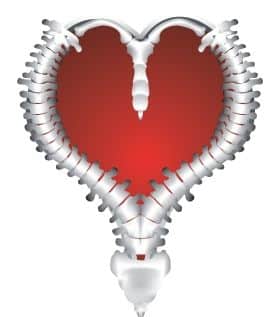 Spinal health plays a significant role in heart health